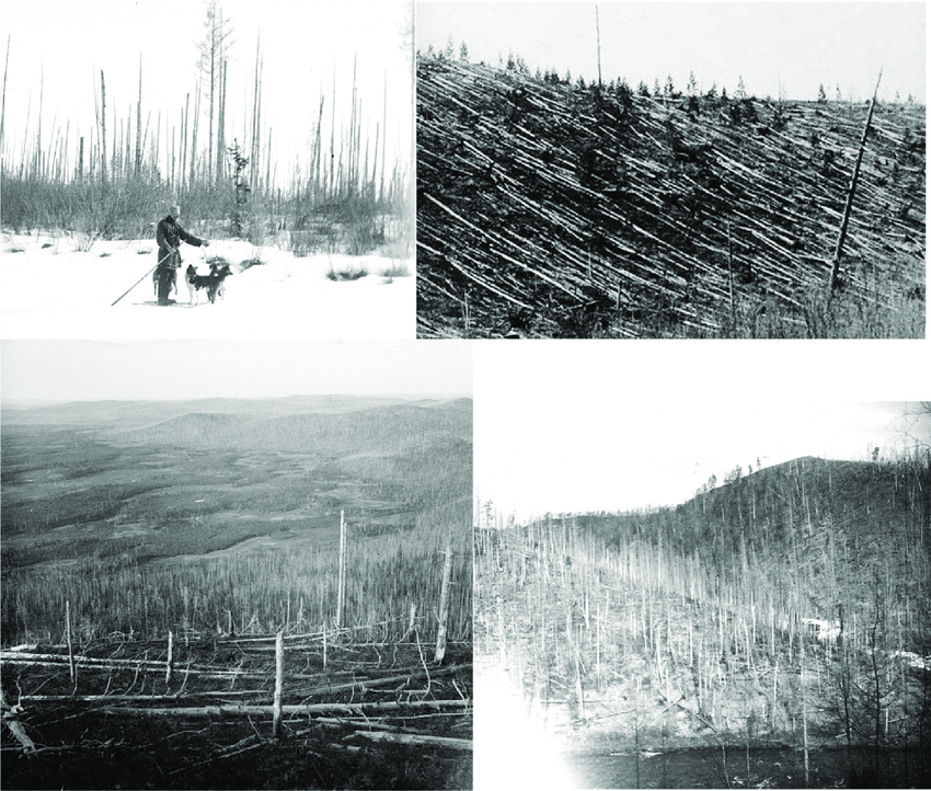 Photos of the Tunguska blast from the 1921-29 expeditions. Near the presumed epicenter the trees were found to still be standing like "telegraph poles" with all the branches broken off, extending out 3-5 km. Further out the trees were knocked down radially outwards from the epicenter out to 20-40 km. Images reprinted with permission from the collections of the Tomsk State Archives fund P-1947 (here).