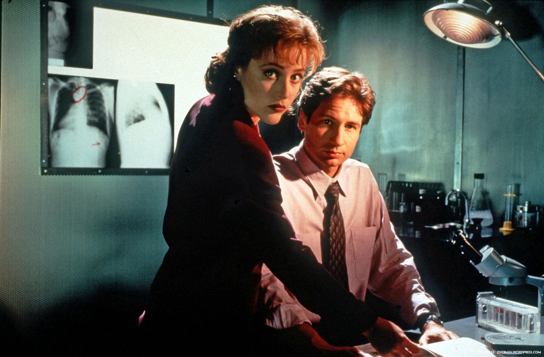 The X-Files - Scully and Mulder 